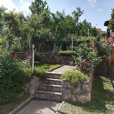 Apartment Bozic Vrbovsko Ngoại thất bức ảnh